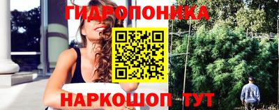 мяу мяу мука Будённовск