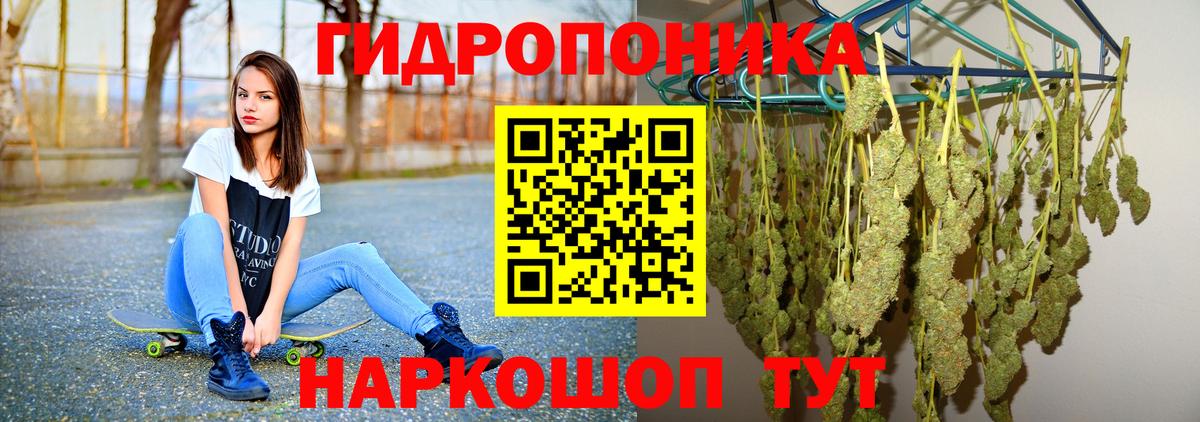 Канабис White Widow  Бошки Шишки план  Печора  Вход с VPN  Конопля Amnesia 